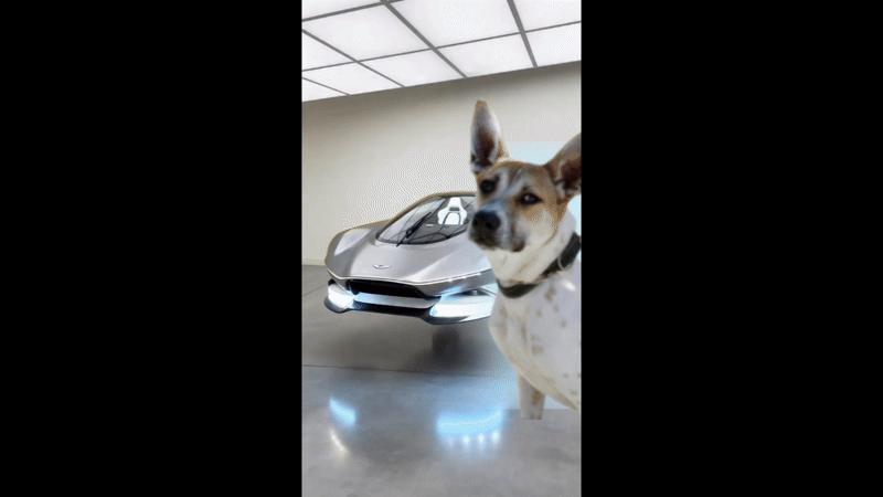 Aston (Roadsters litter)