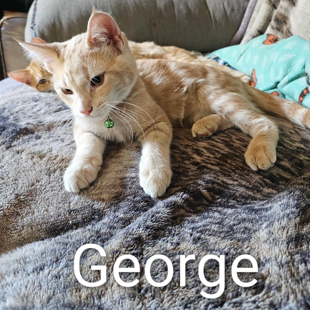 George