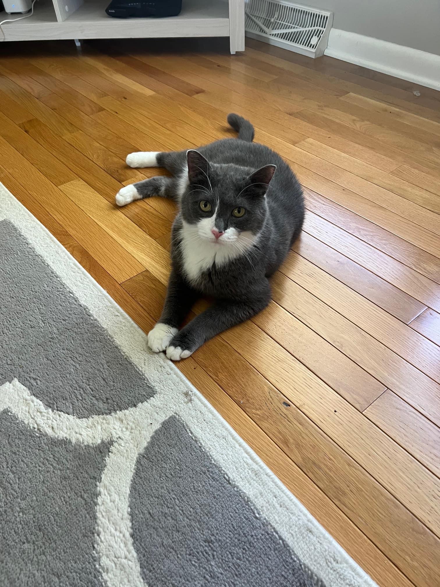 Tormund ~Courtesy Post~