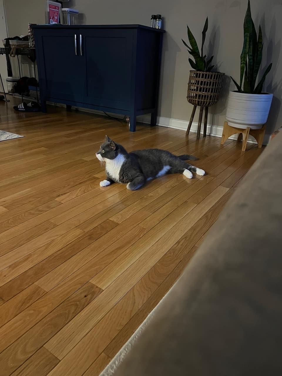 Tormund ~Courtesy Post~