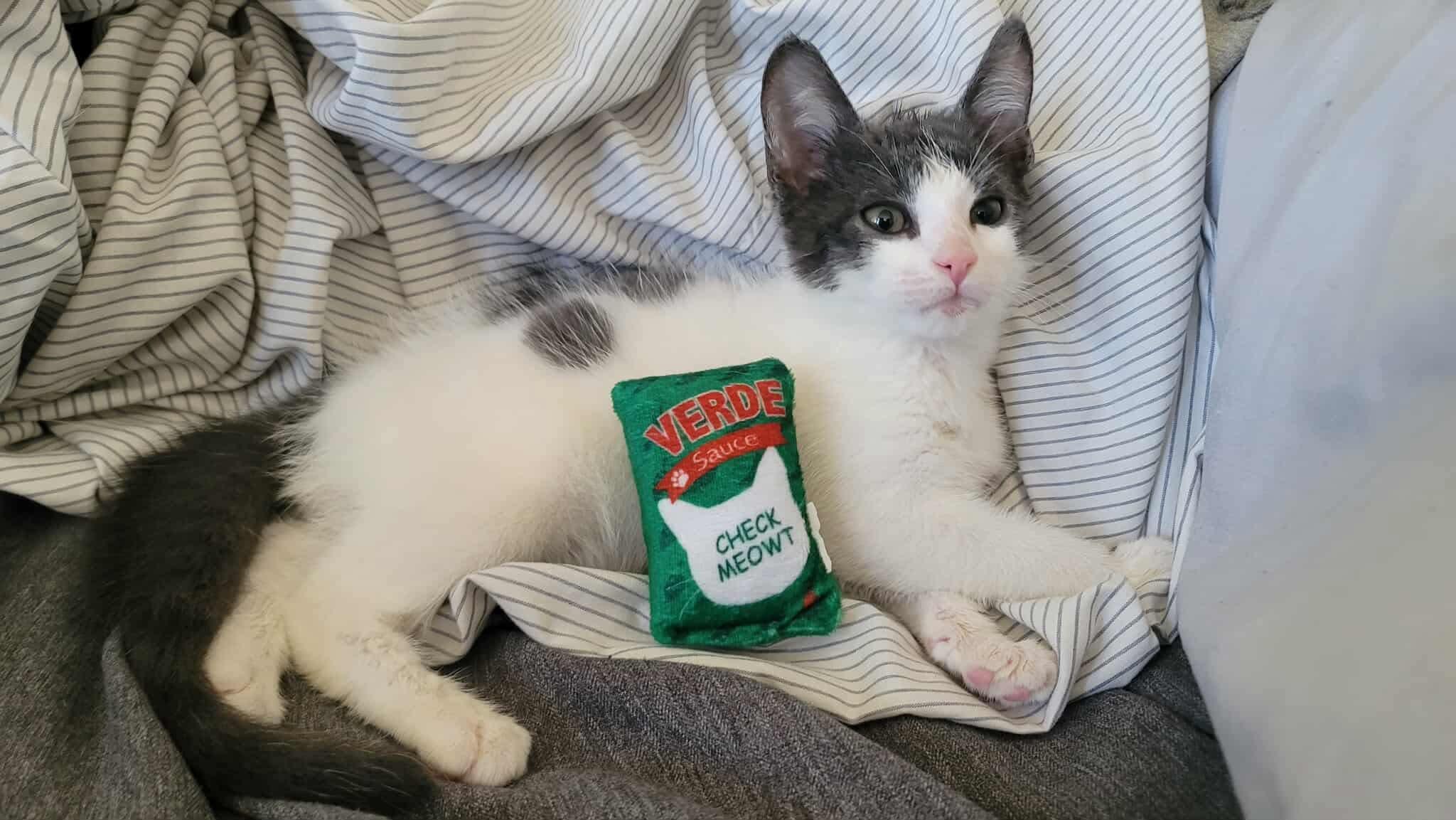 Weeble