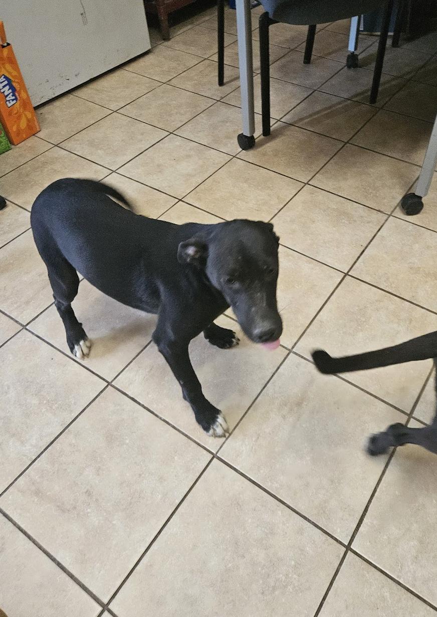 Josie Hanna — thumbnail 2