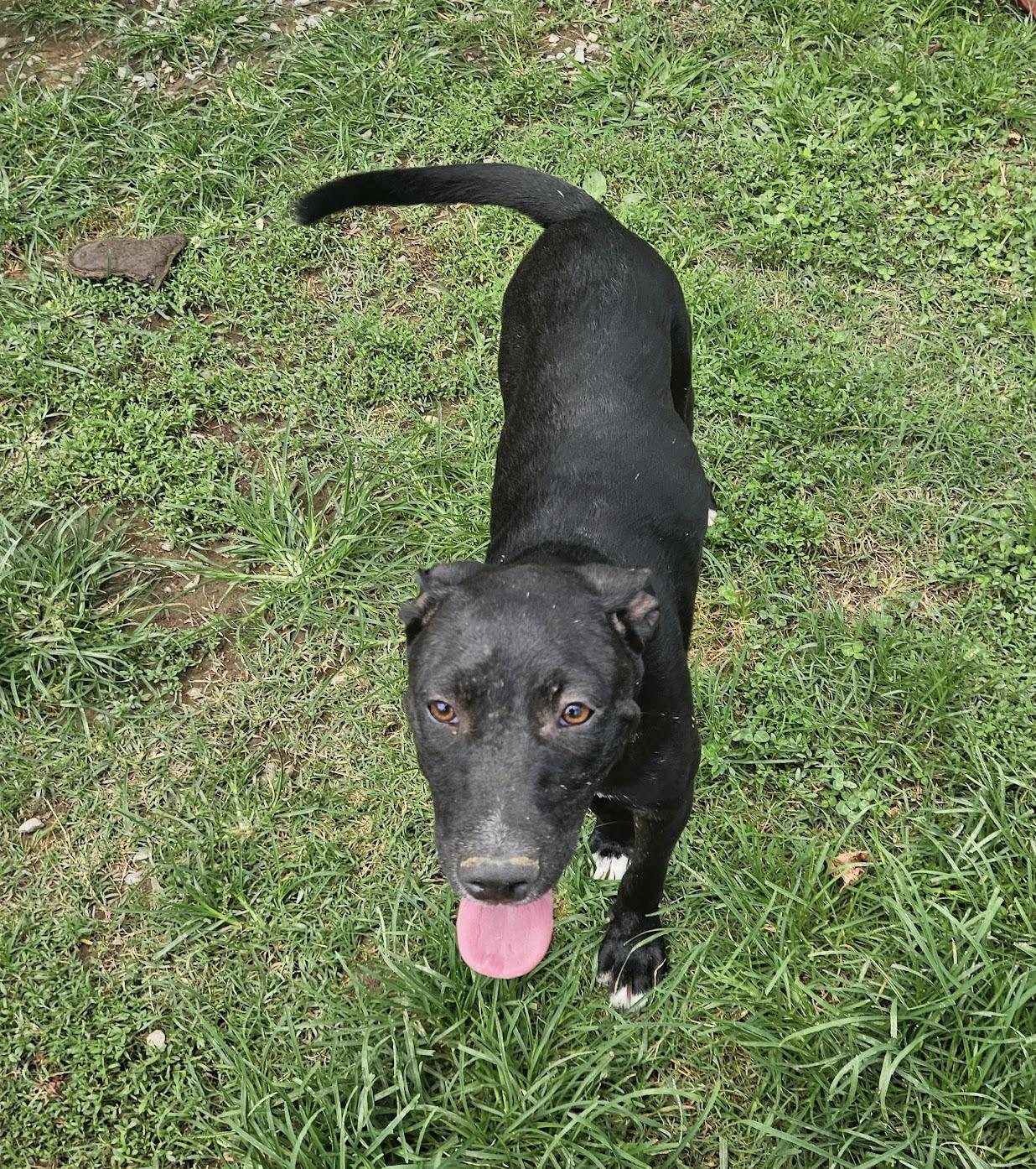 Josie Hanna — thumbnail 3