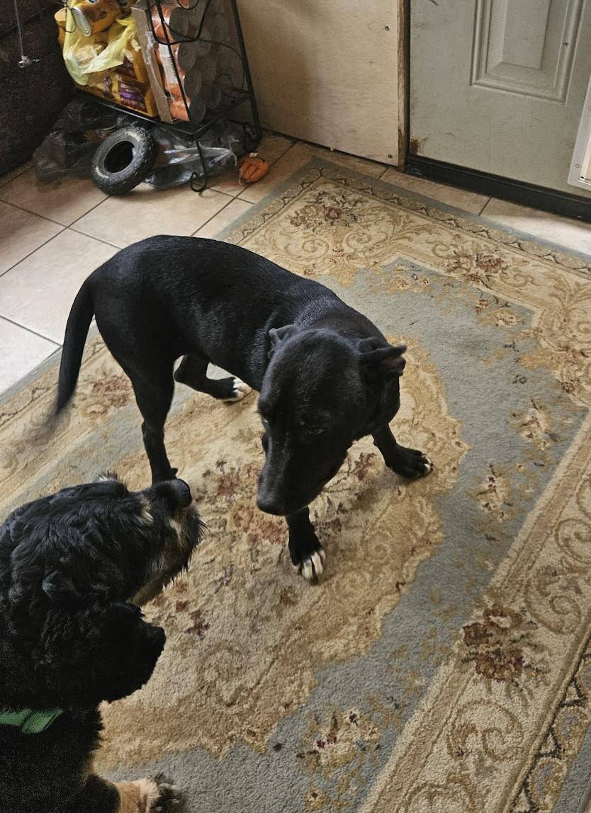 Josie Hanna — thumbnail 4