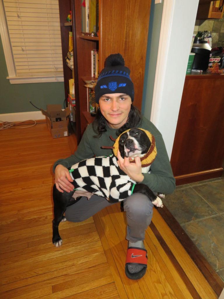 Enlarge Meg Ryan, a Adoptable mixed breed in Detroit, MI image 2/6