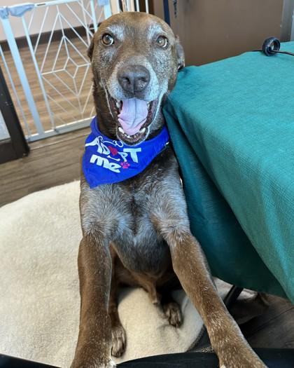 Spanky — thumbnail 2