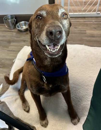 Spanky — thumbnail 3