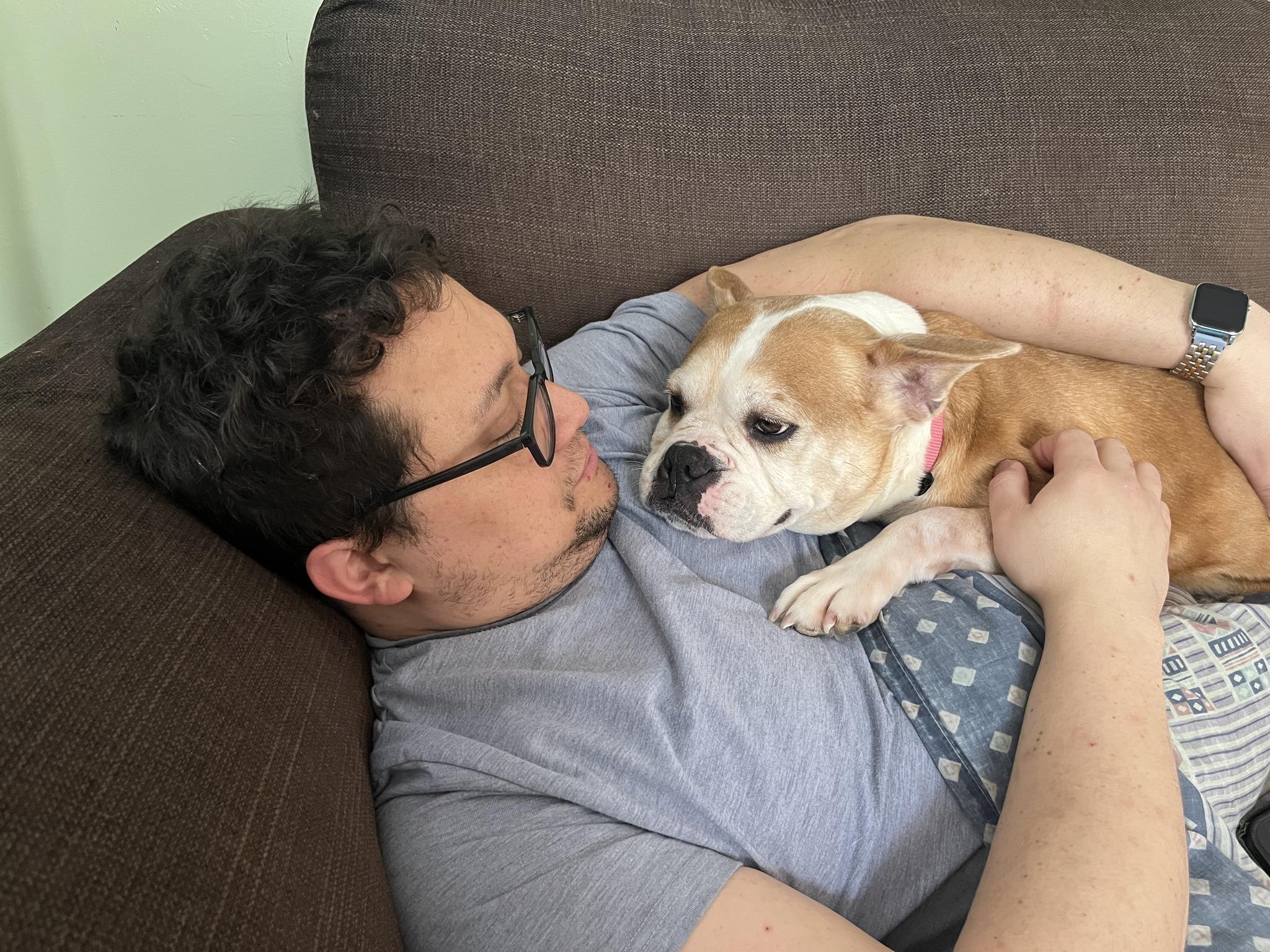 Enlarge Lacey, a Adoptable mixed breed in Calgary, AB image 2/4