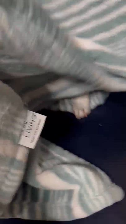 Enlarge Camper, a Adoptable Rat Terrier in Phoenix, AZ video 6/6