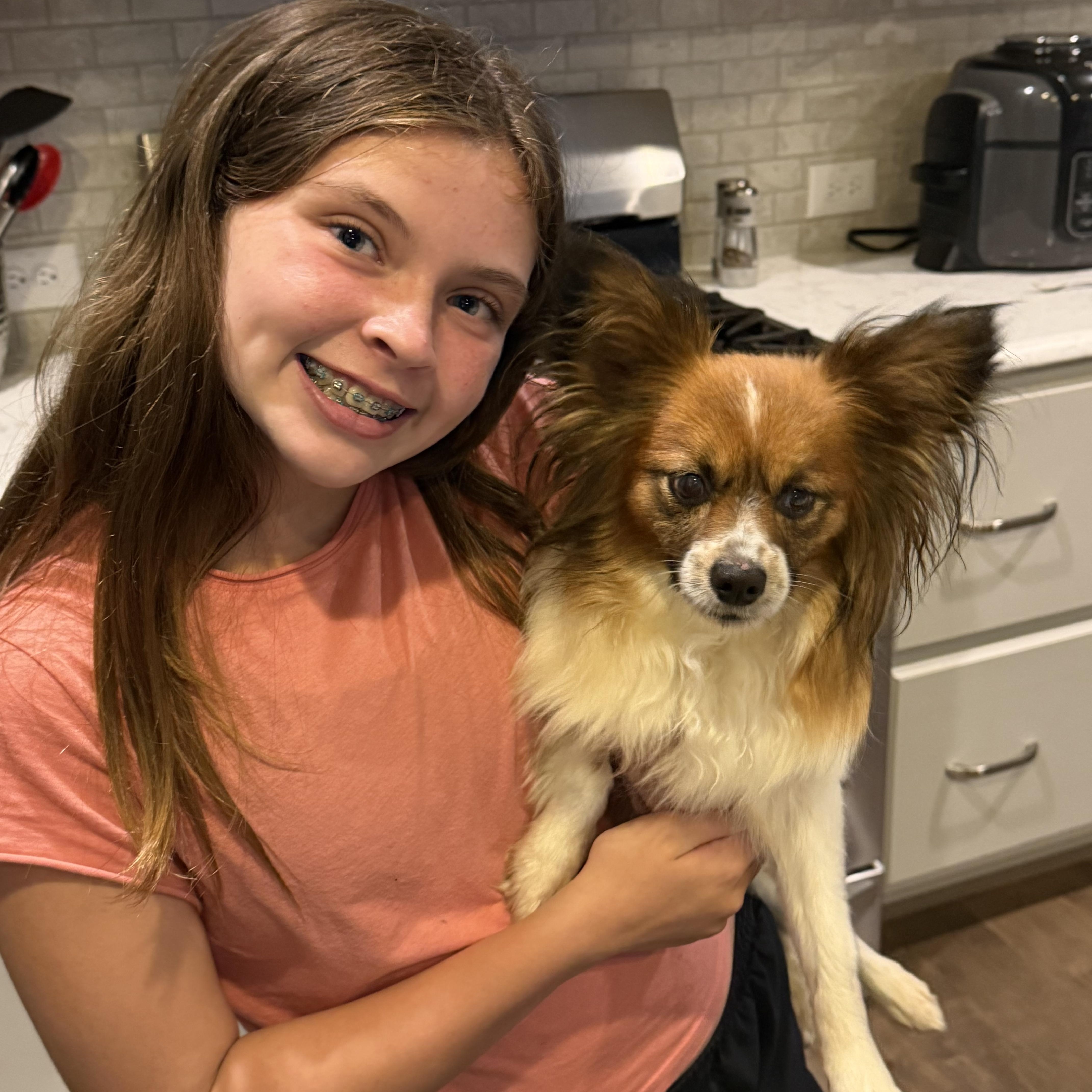 Nena, adopted, Adult Female Pomeranian & Papillon.