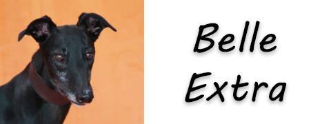 Enlarge Belle Extra, a Adopted Greyhound in Douglasville, GA image 3/3