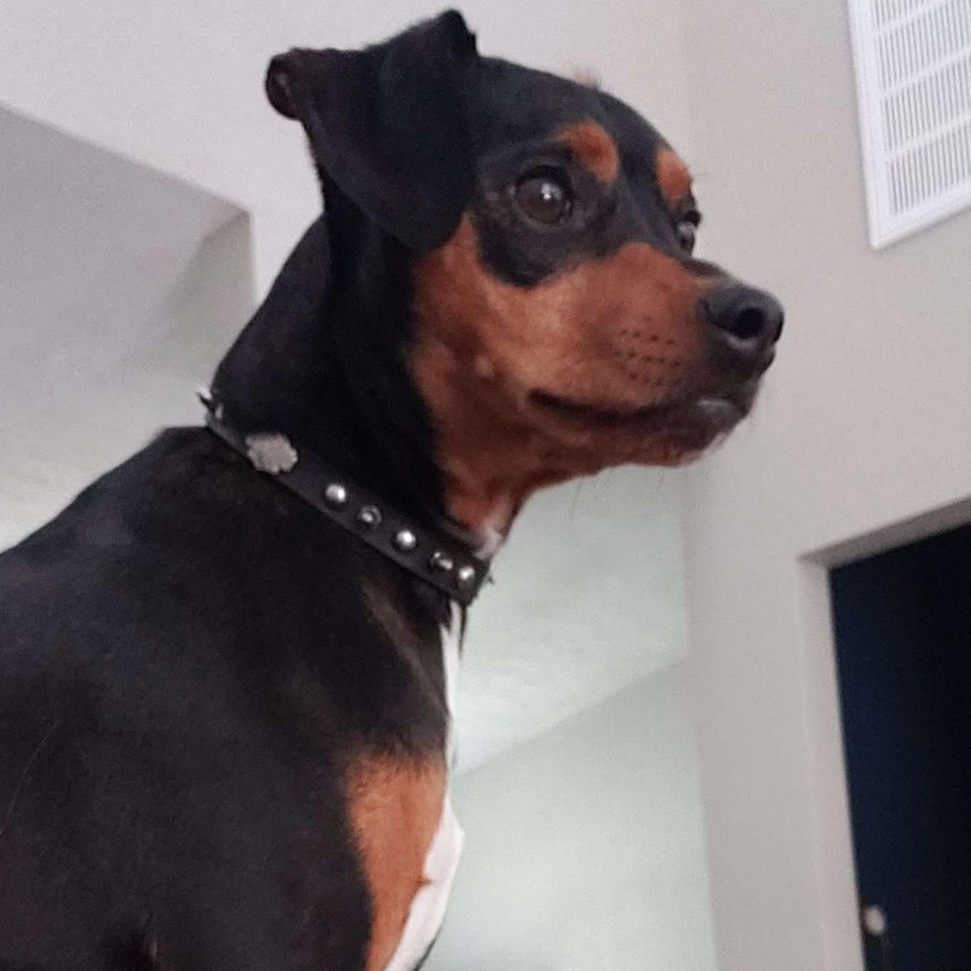 Rocky