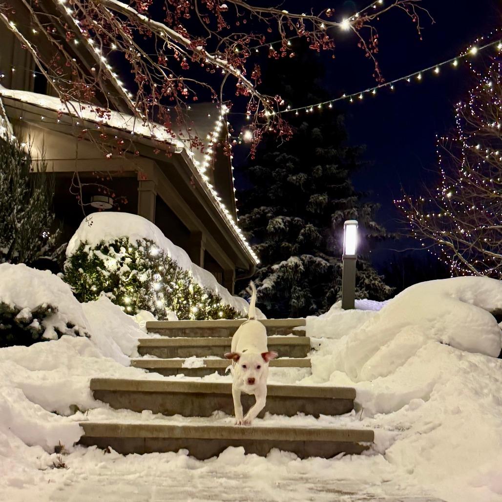 Chachi D thumbnail 4