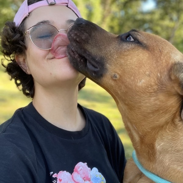 Enlarge Brownie, a Adoptable mixed breed in Joppa, MD image 2/6