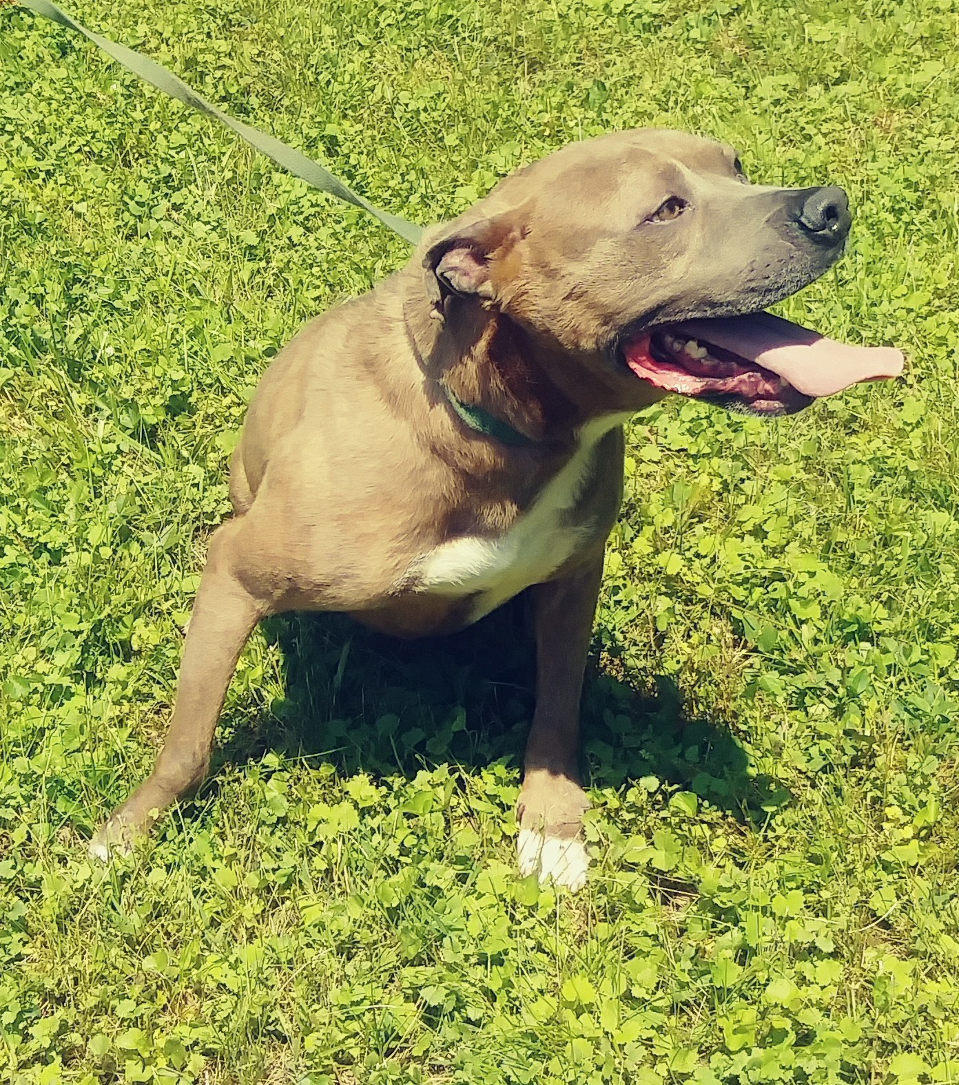Kobe photo 4