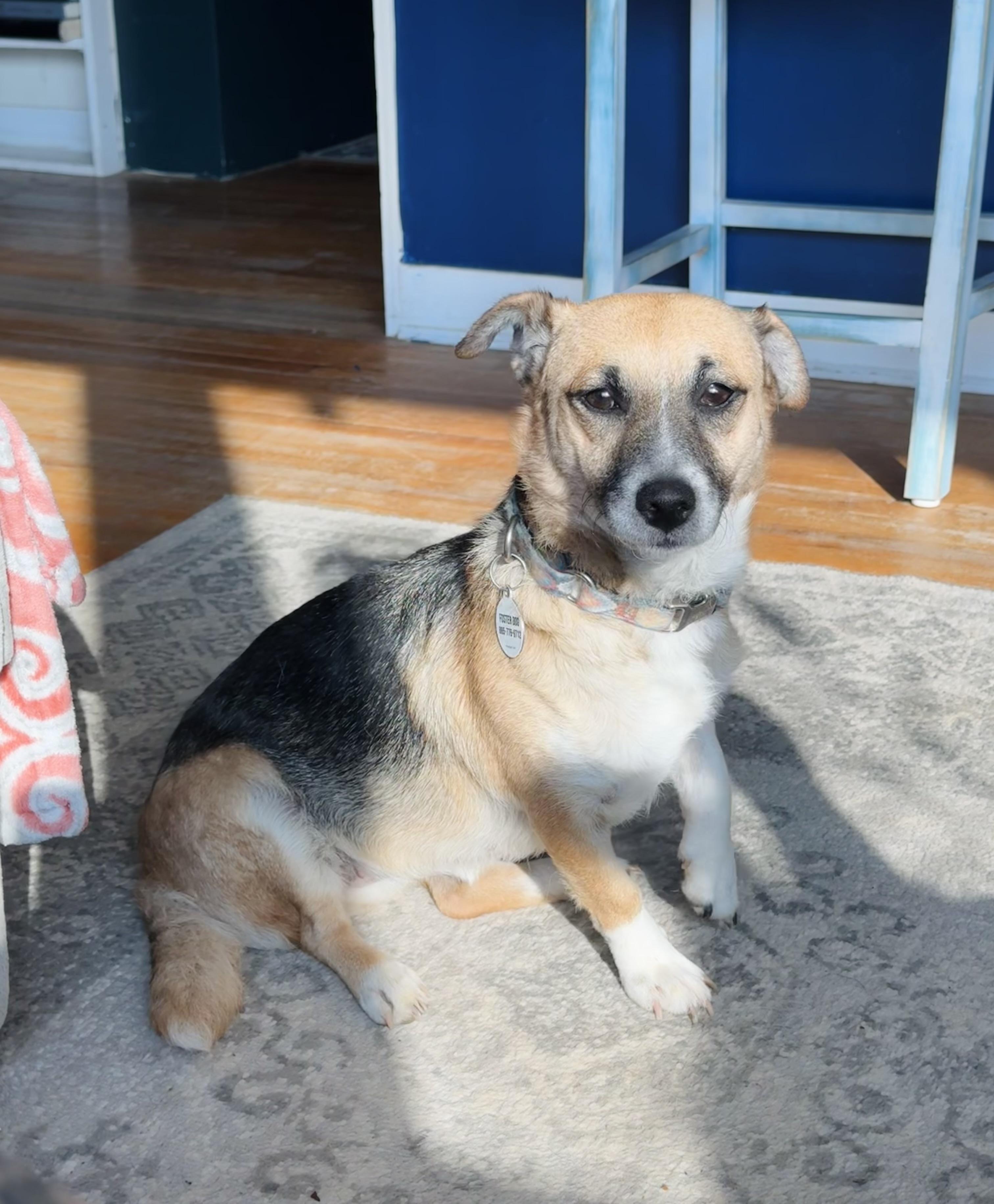 Francine thumbnail 2