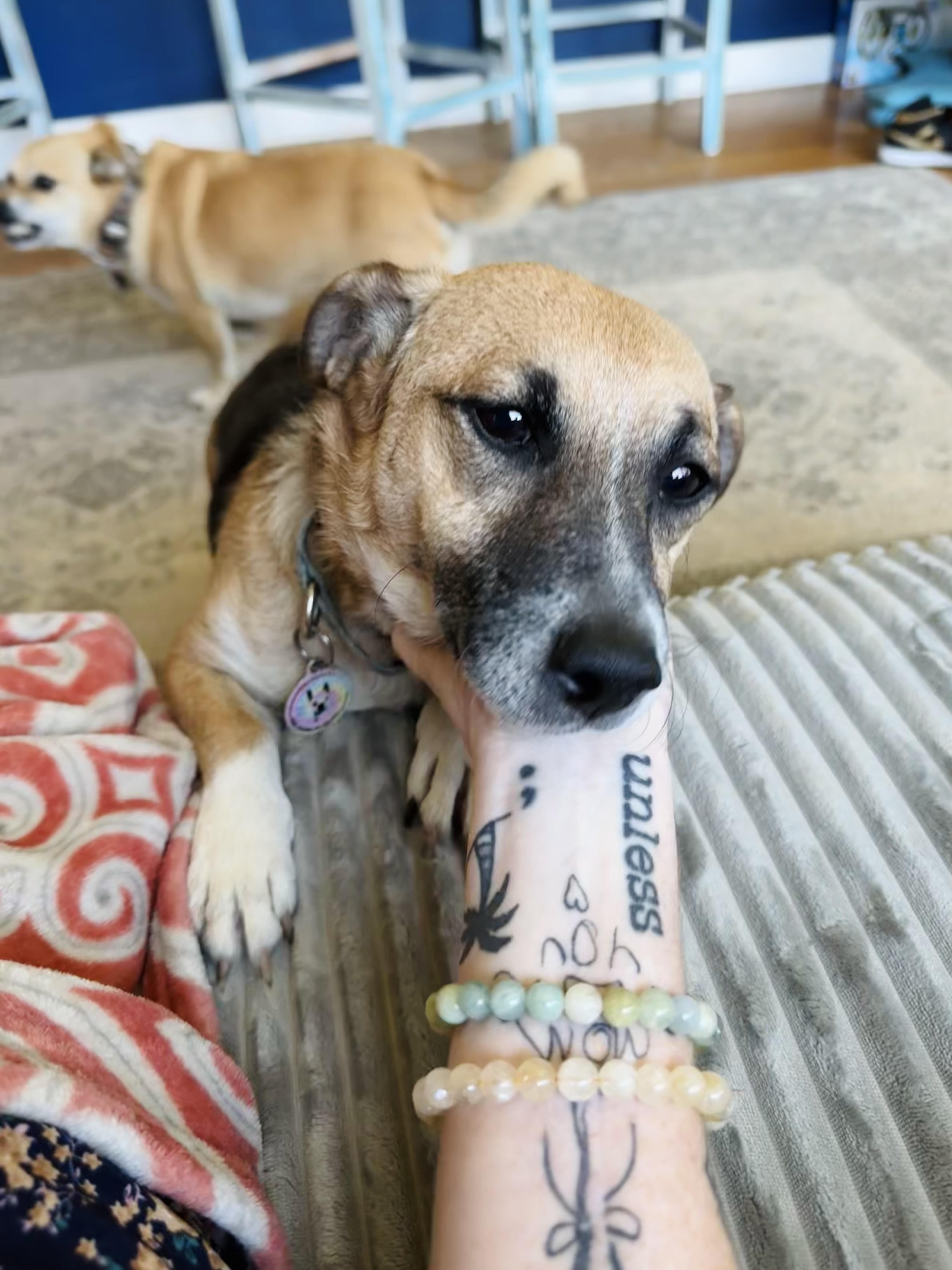 Francine thumbnail 3