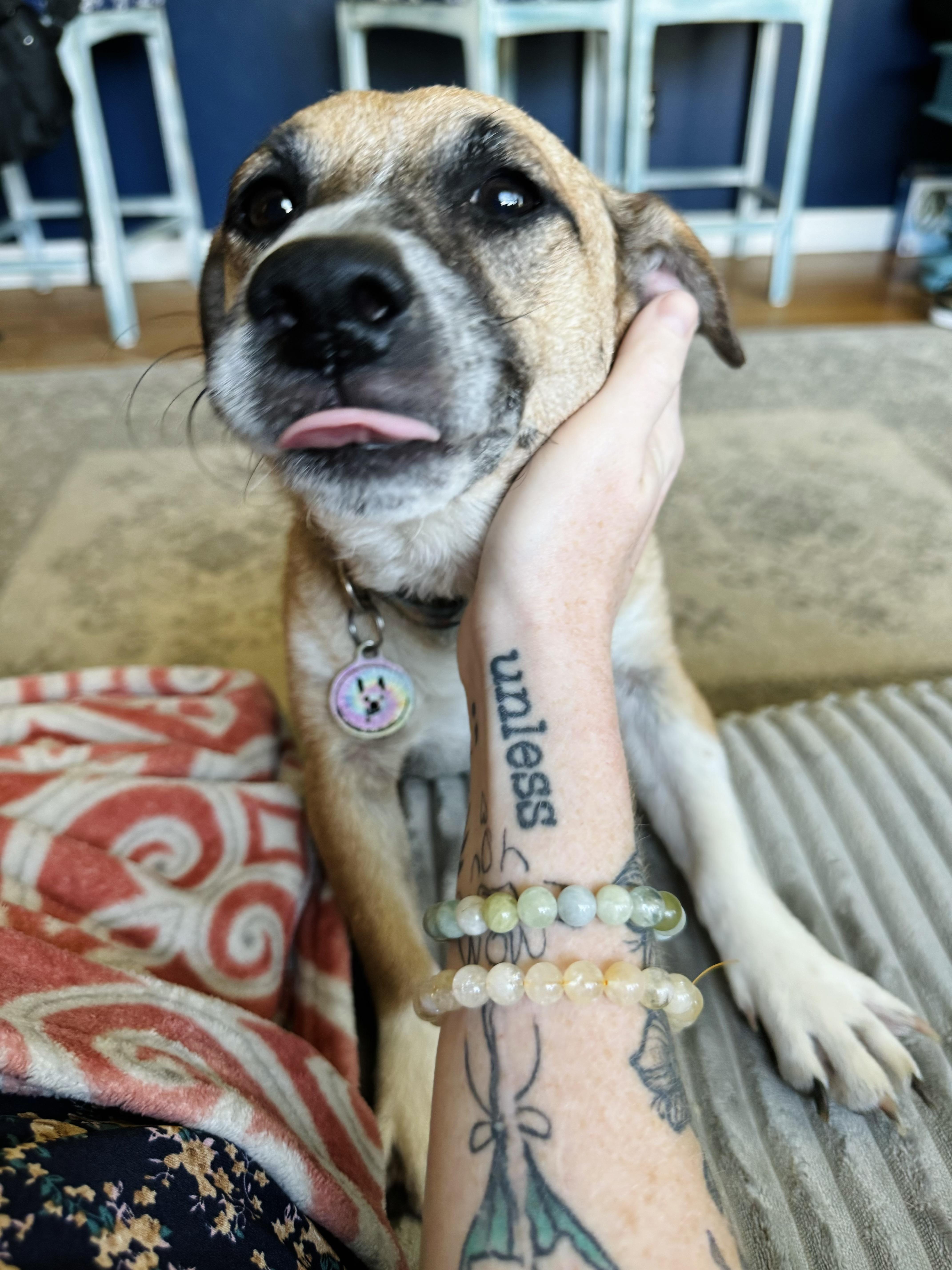 Francine thumbnail 6