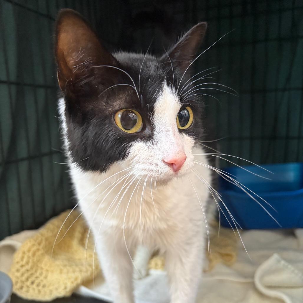 Posy — thumbnail 3