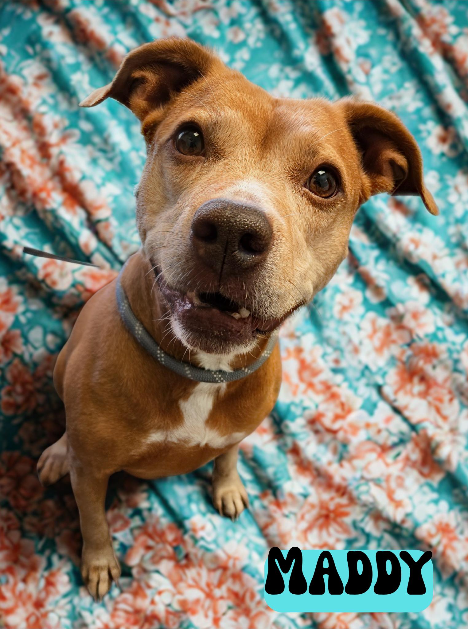 Maddy
