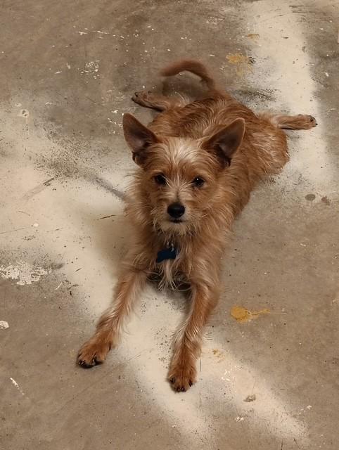 Maverick thumbnail 2