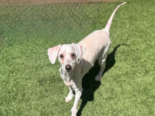 SAVE ME PLEASE! JAIME - ID#A545368