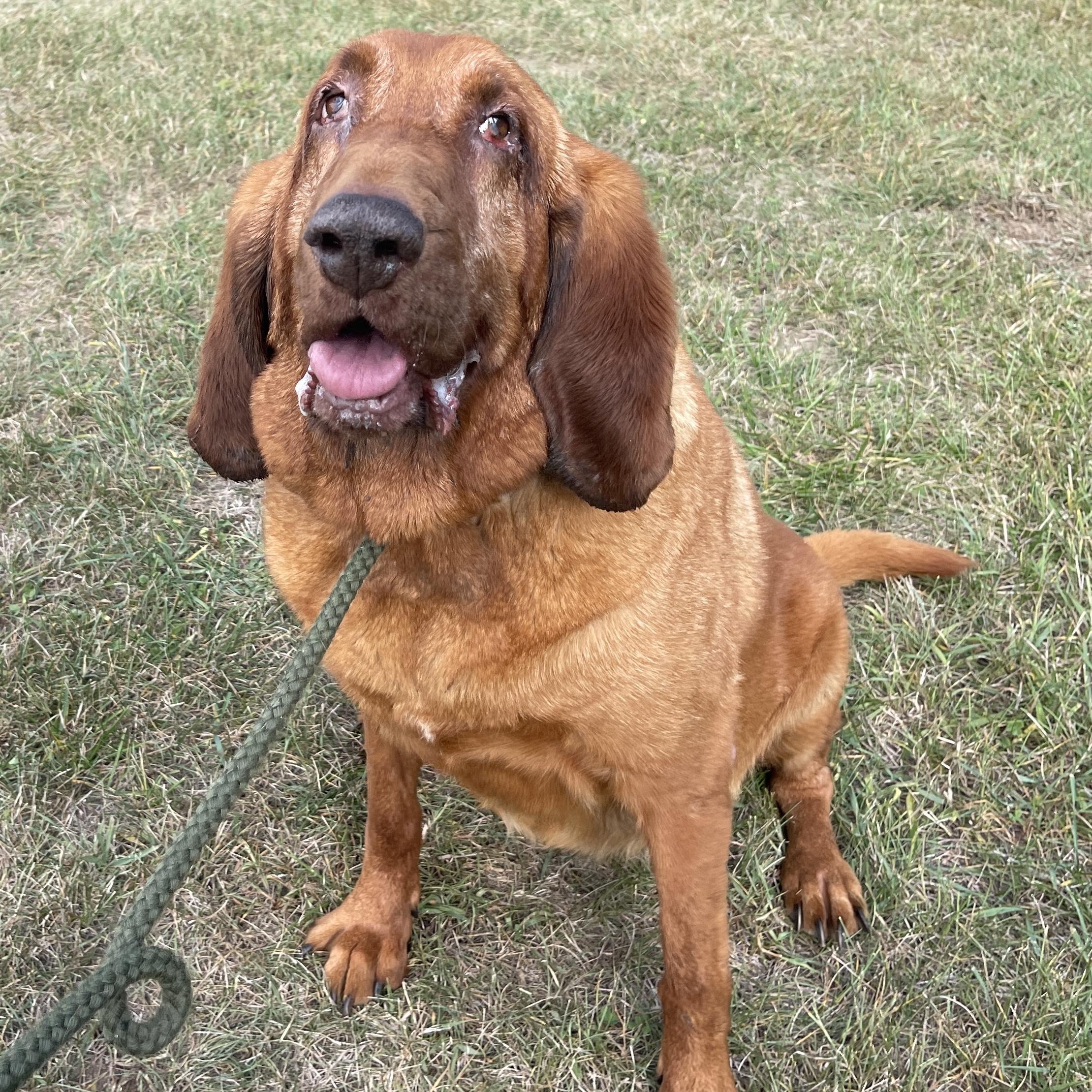 Millie
