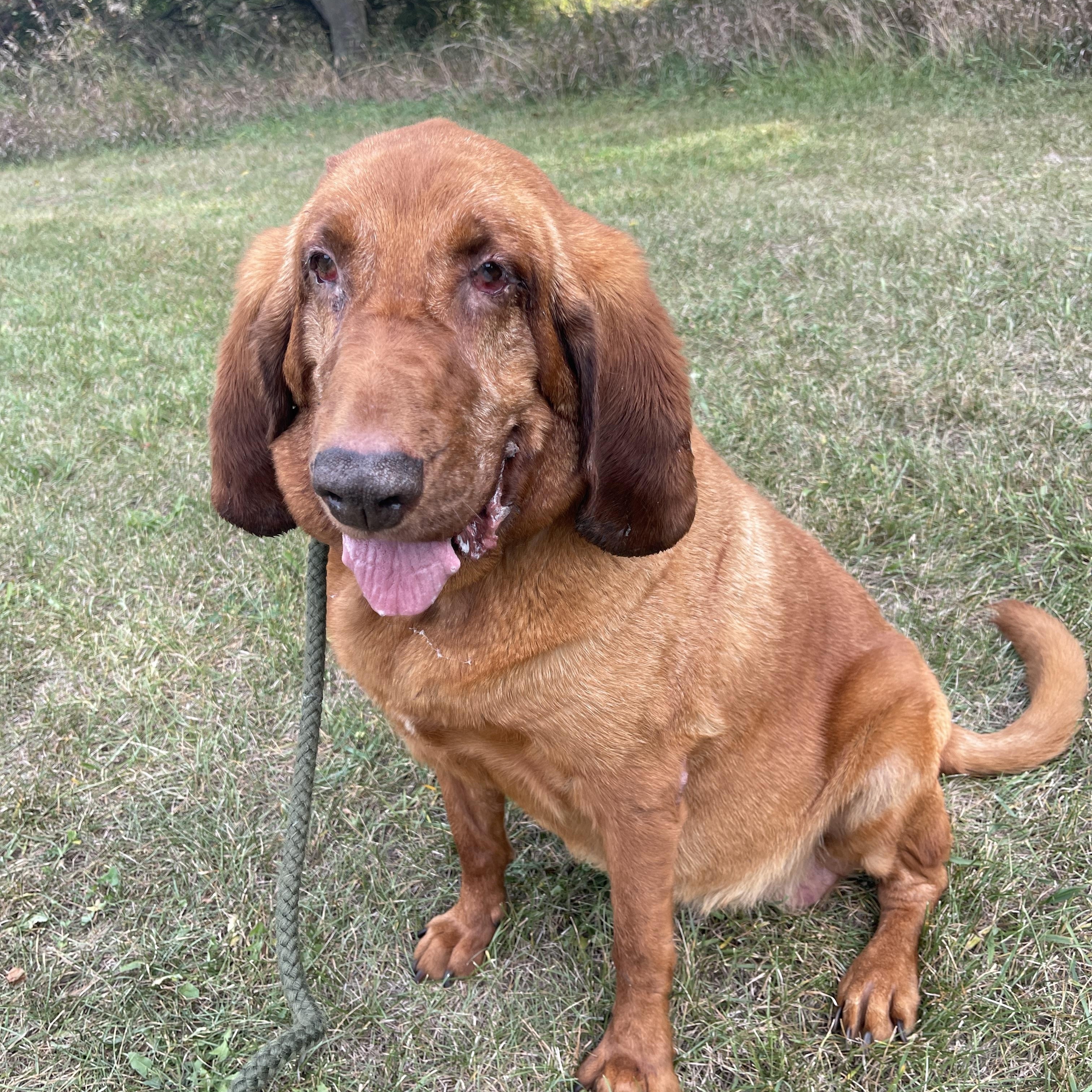 Millie