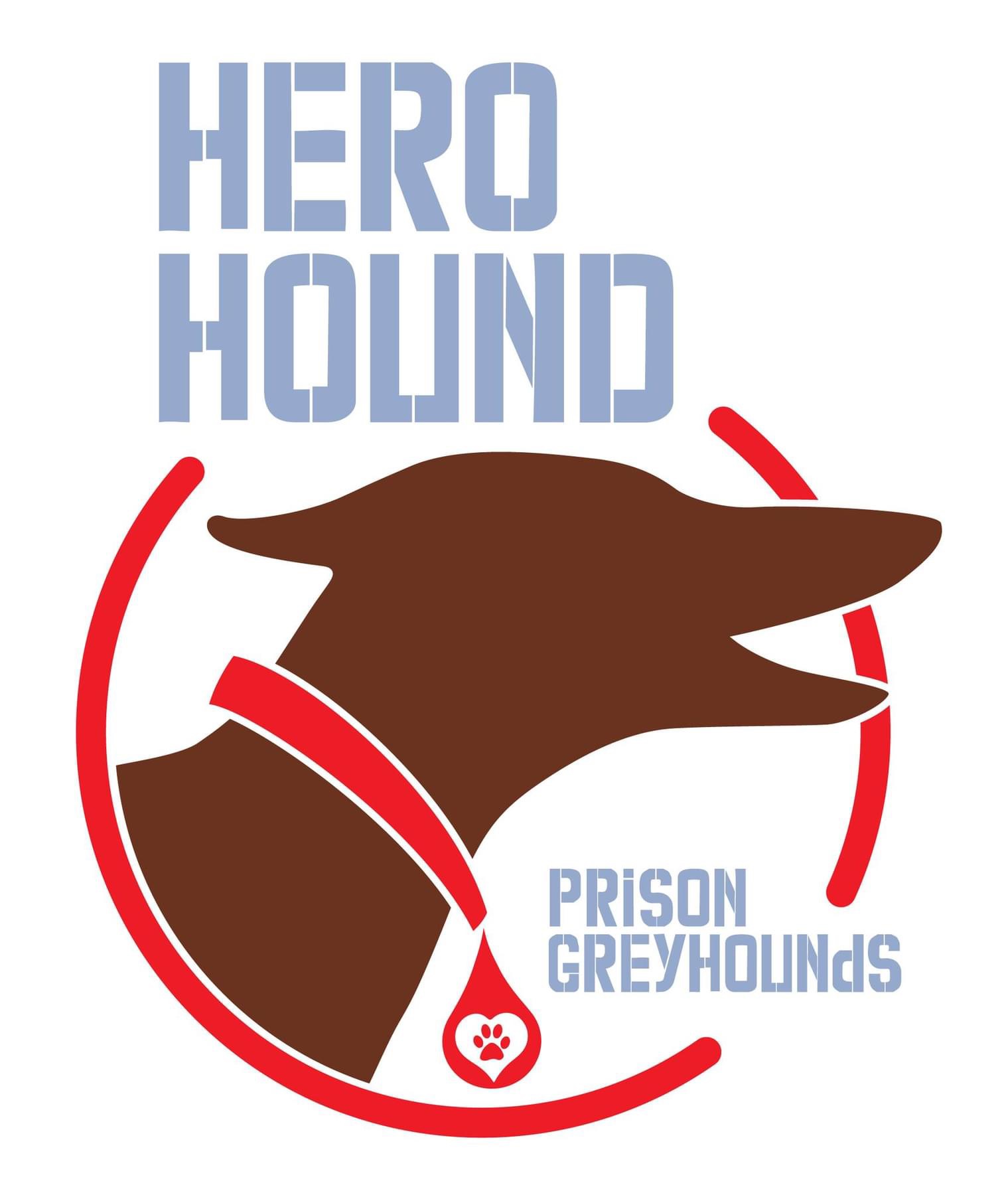 Mama Zoey & Hero Teddy (Bonded Pair), a Adopted mixed breed in Indianapolis, IN image 5/5