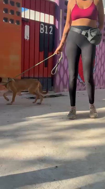 Enlarge Rubi, a ADOPTABLE mixed breed in New York, NY video 3/6