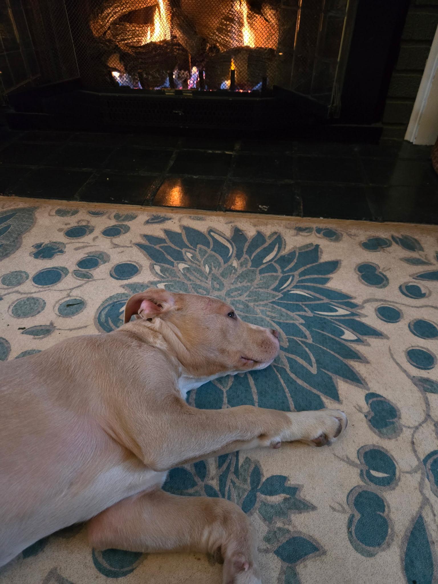 Roo Willows Litter thumbnail 2