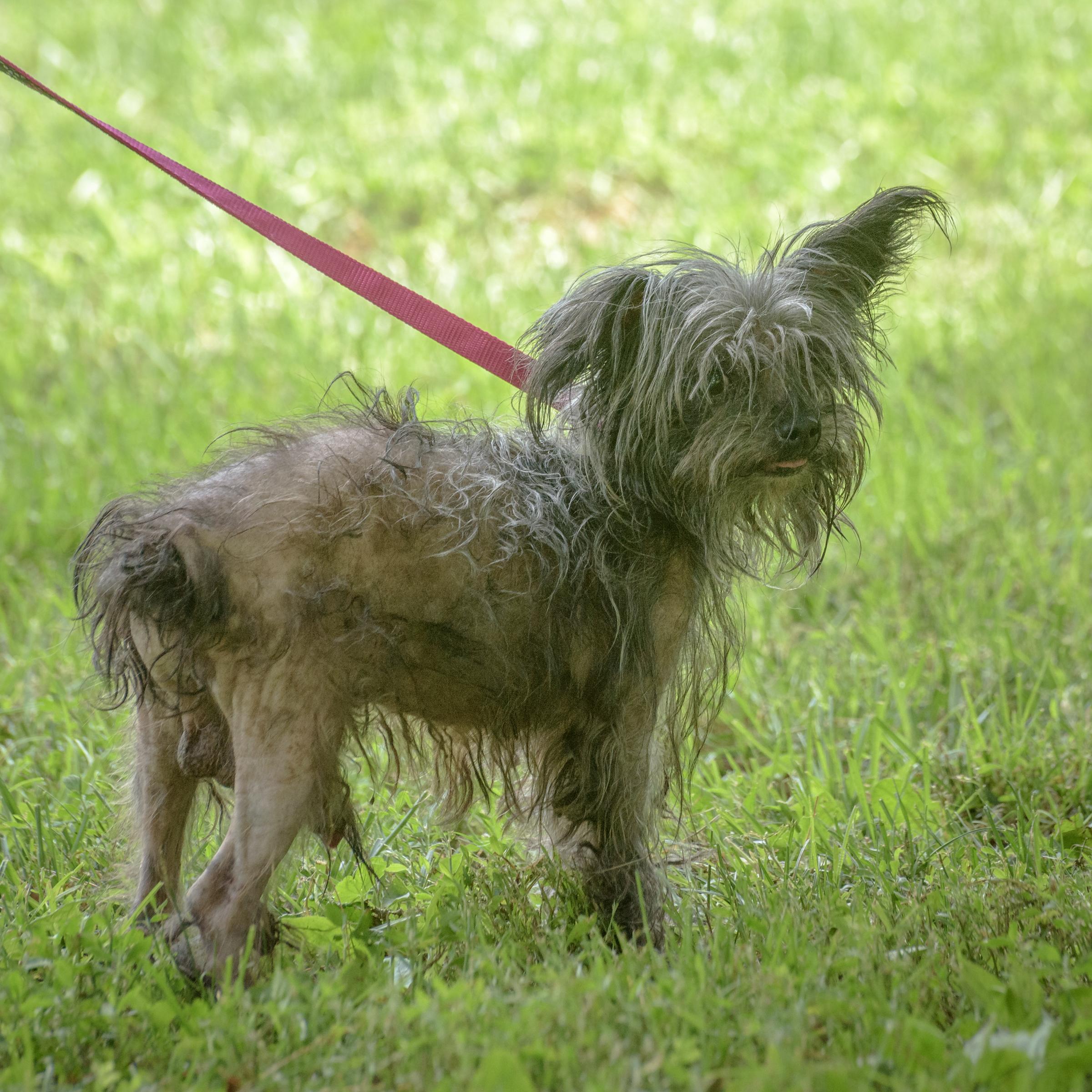 Marvin, Senior Male unknown