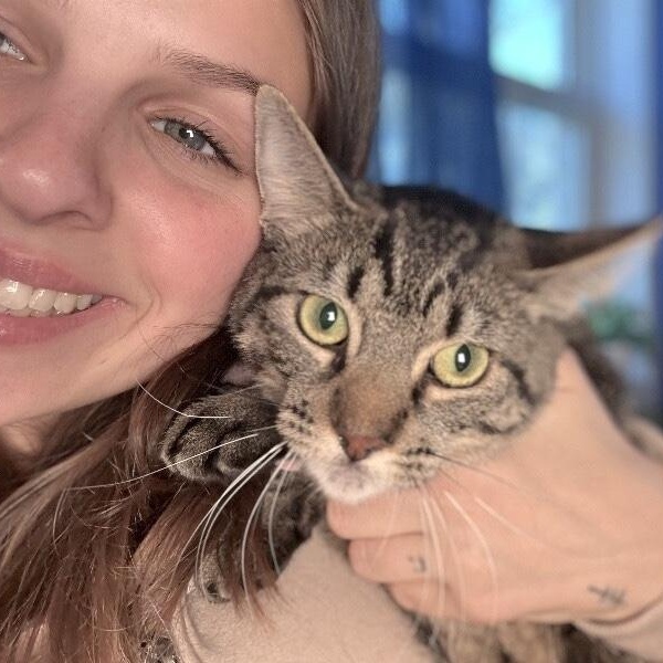 Andromeda Constellation — thumbnail 2