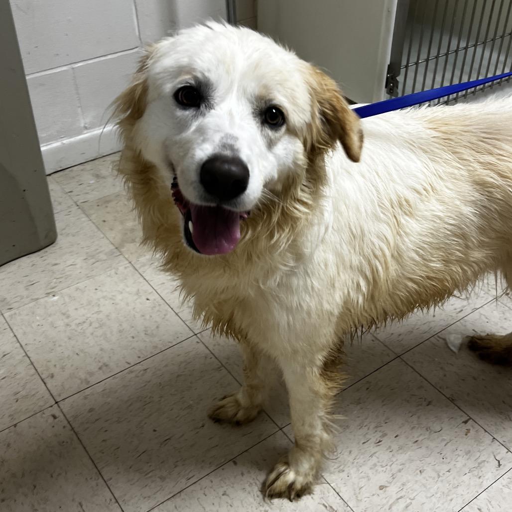 Winnie — thumbnail 2