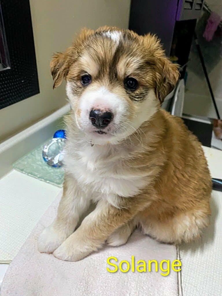 Solange (20251222-12) — thumbnail 2