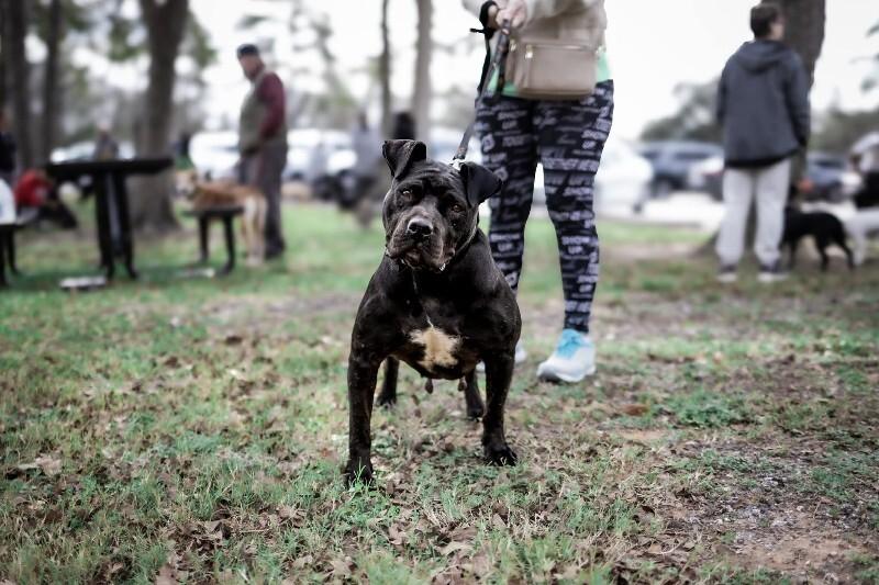 Angie Short Stack of Snuggles — thumbnail 3