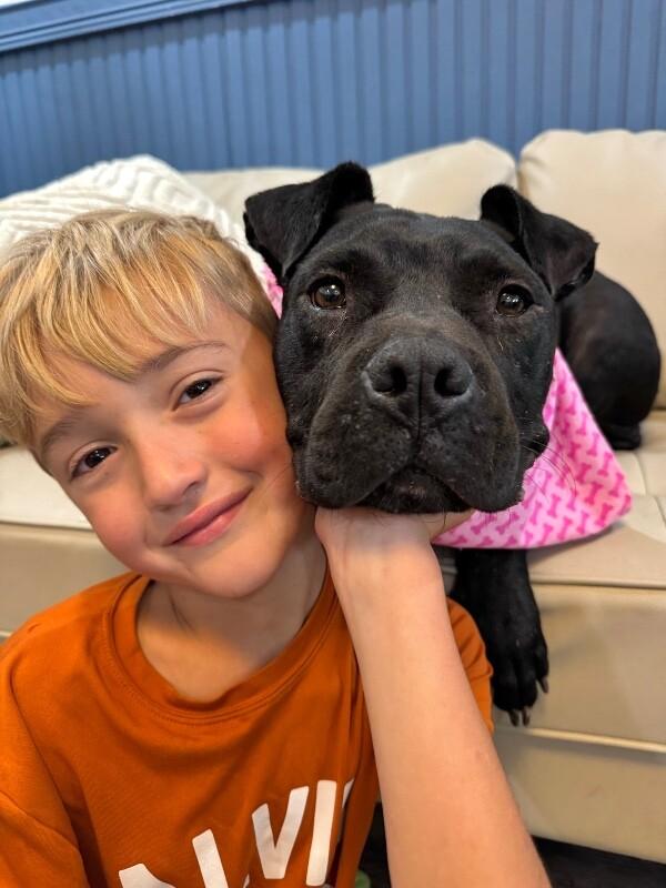 Angie Short Stack of Snuggles — thumbnail 5