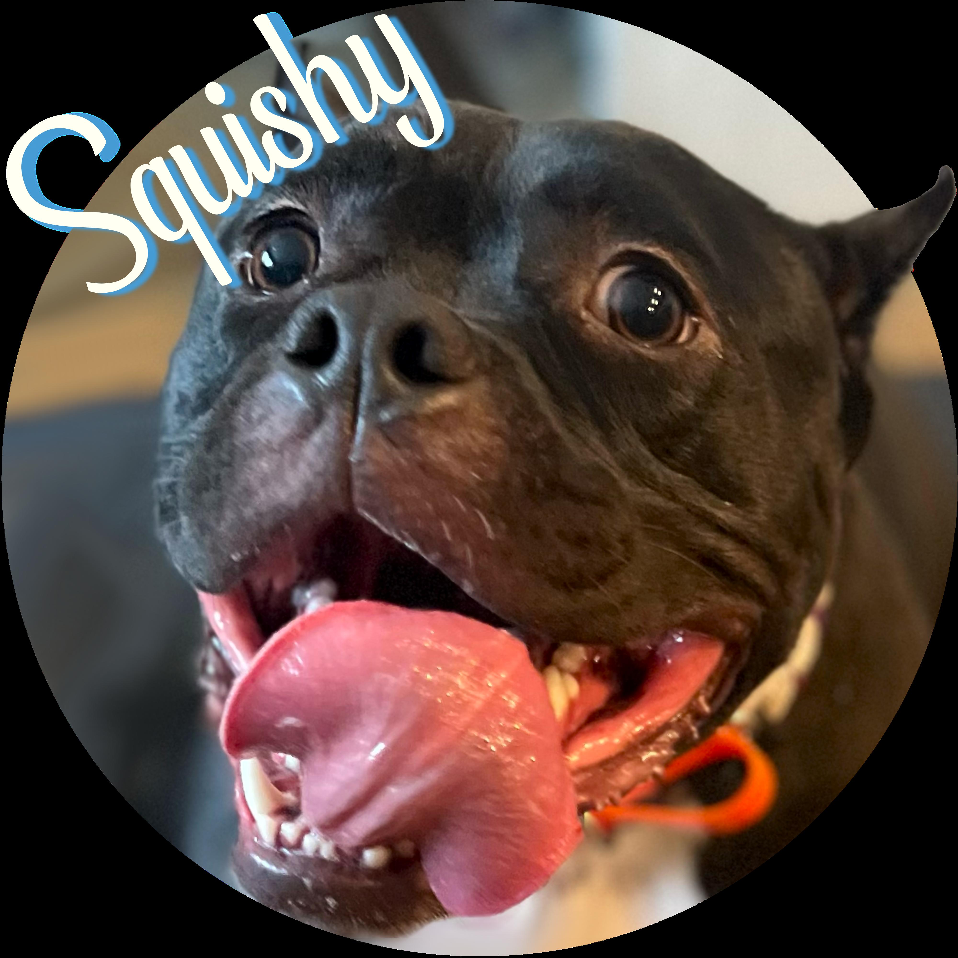 Squishy