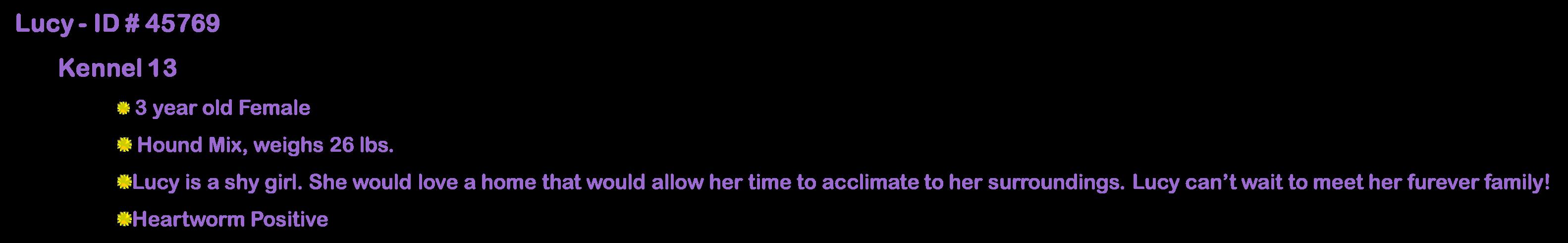 Enlarge Lucy, a Adoptable Hound in Suffolk, VA image 2/2