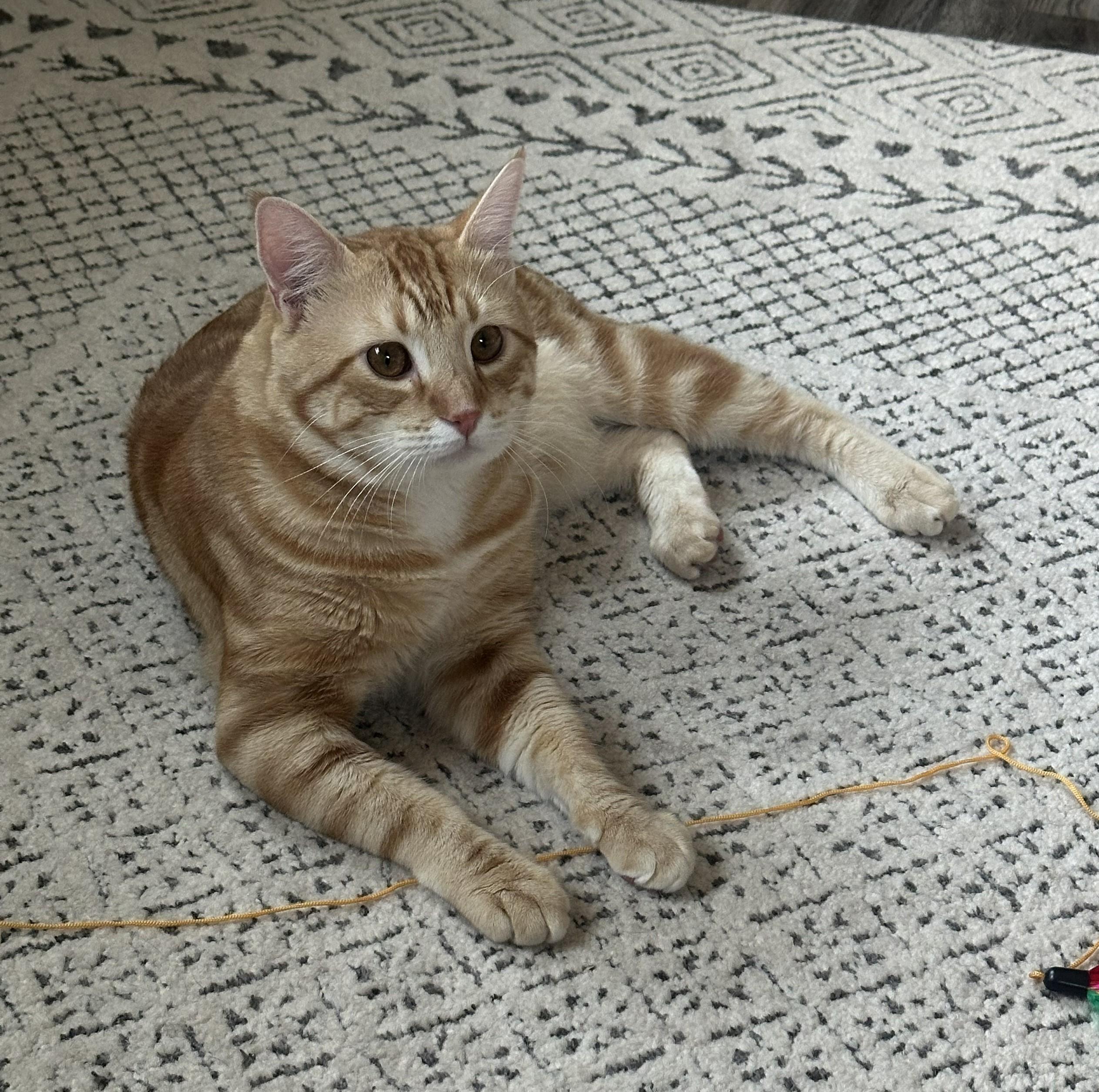 Jack