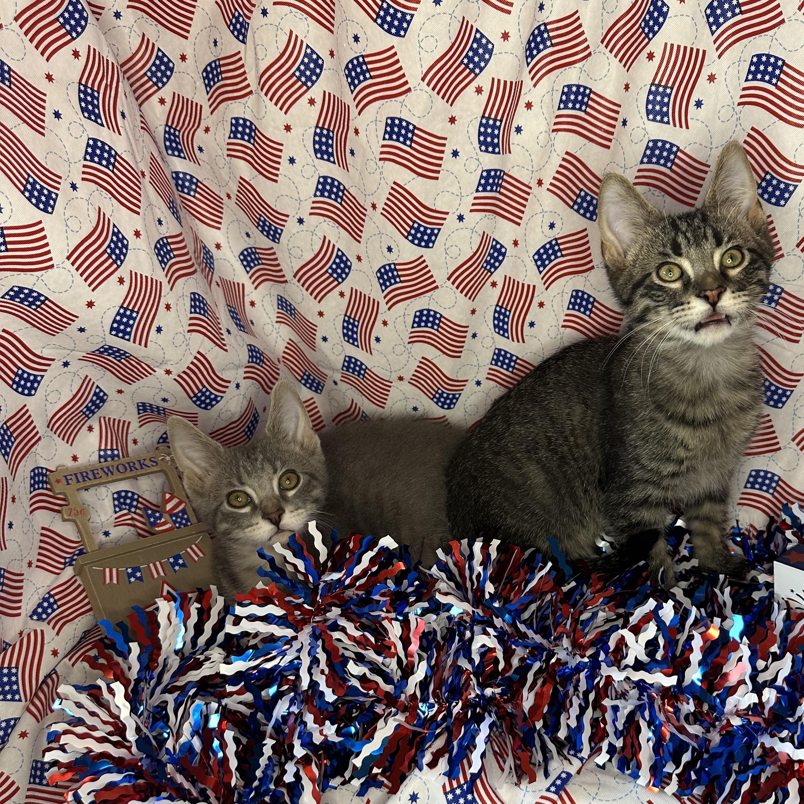 Roley & Poley (Bonded Pair)