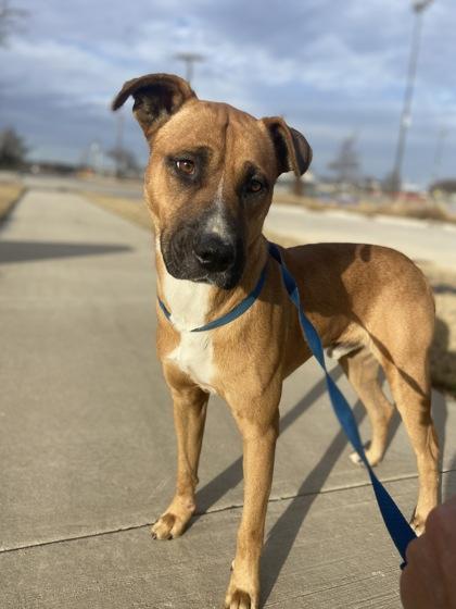 Sprig — thumbnail 2