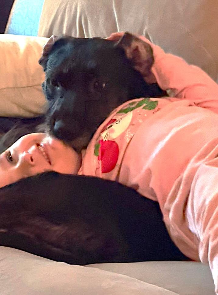 Enlarge Luna, a Adoptable Labrador Retriever in Mississauga, ON image 3/6