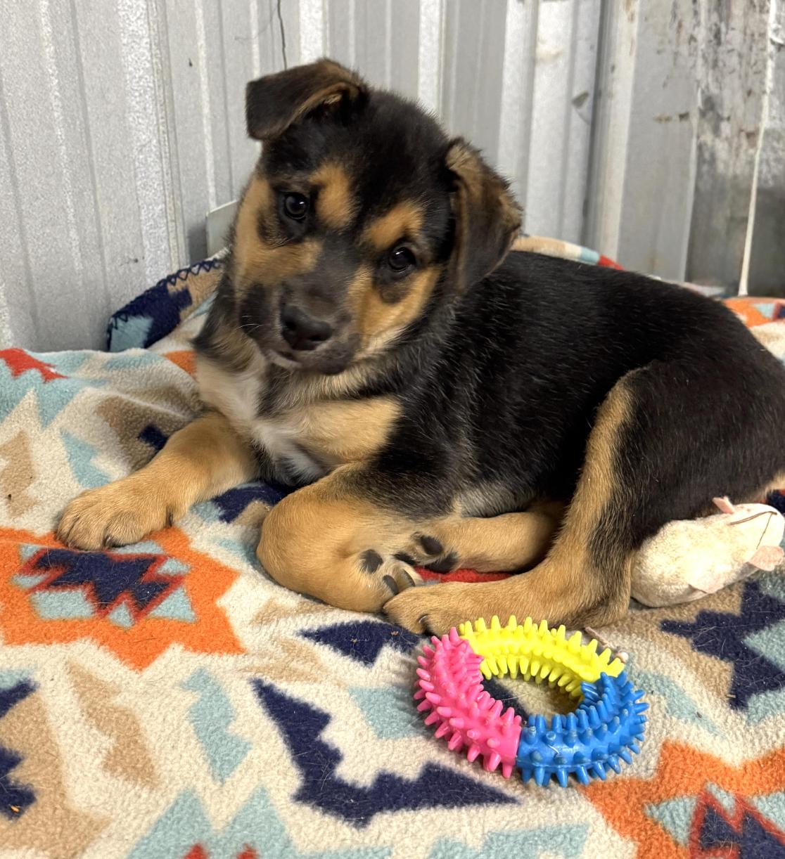 Monty Landman ~ Arriving thumbnail 2