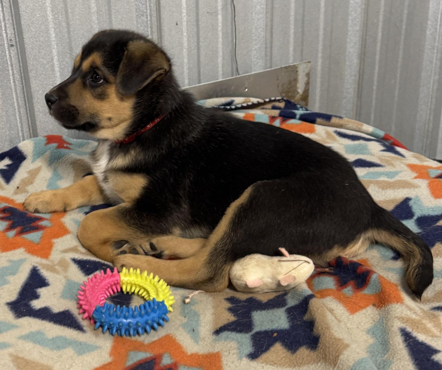 Monty Landman ~ Arriving thumbnail 3