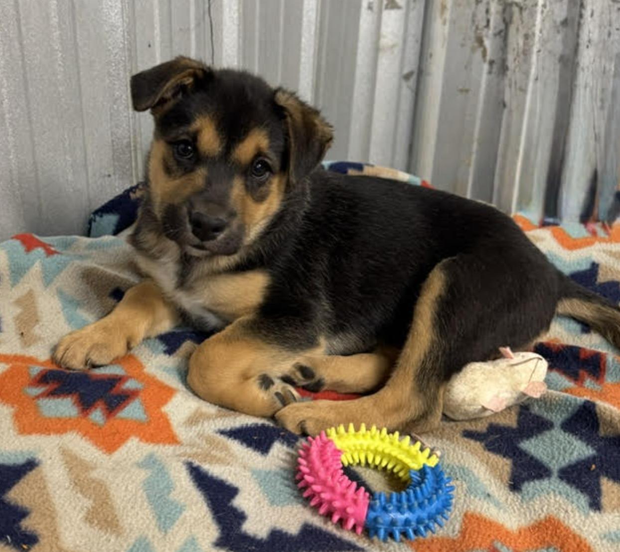 Monty Landman ~ Arriving thumbnail 4