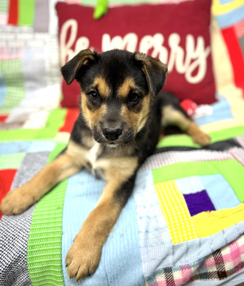 Monty Landman ~ Arriving thumbnail 5