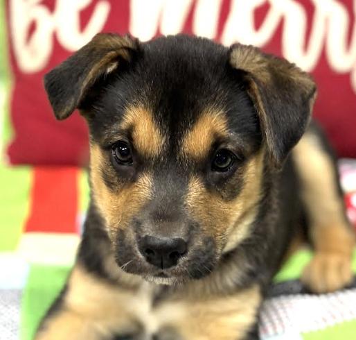 Monty Landman ~ Arriving thumbnail 6