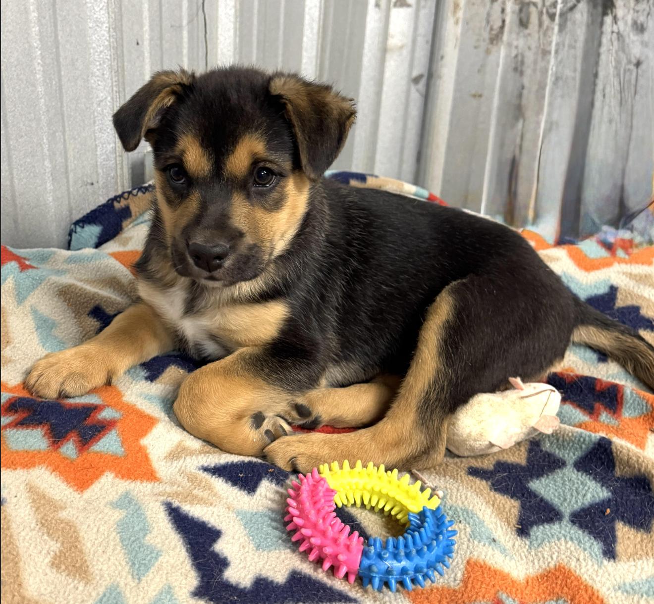 Monty Landman ~ Arriving thumbnail 7