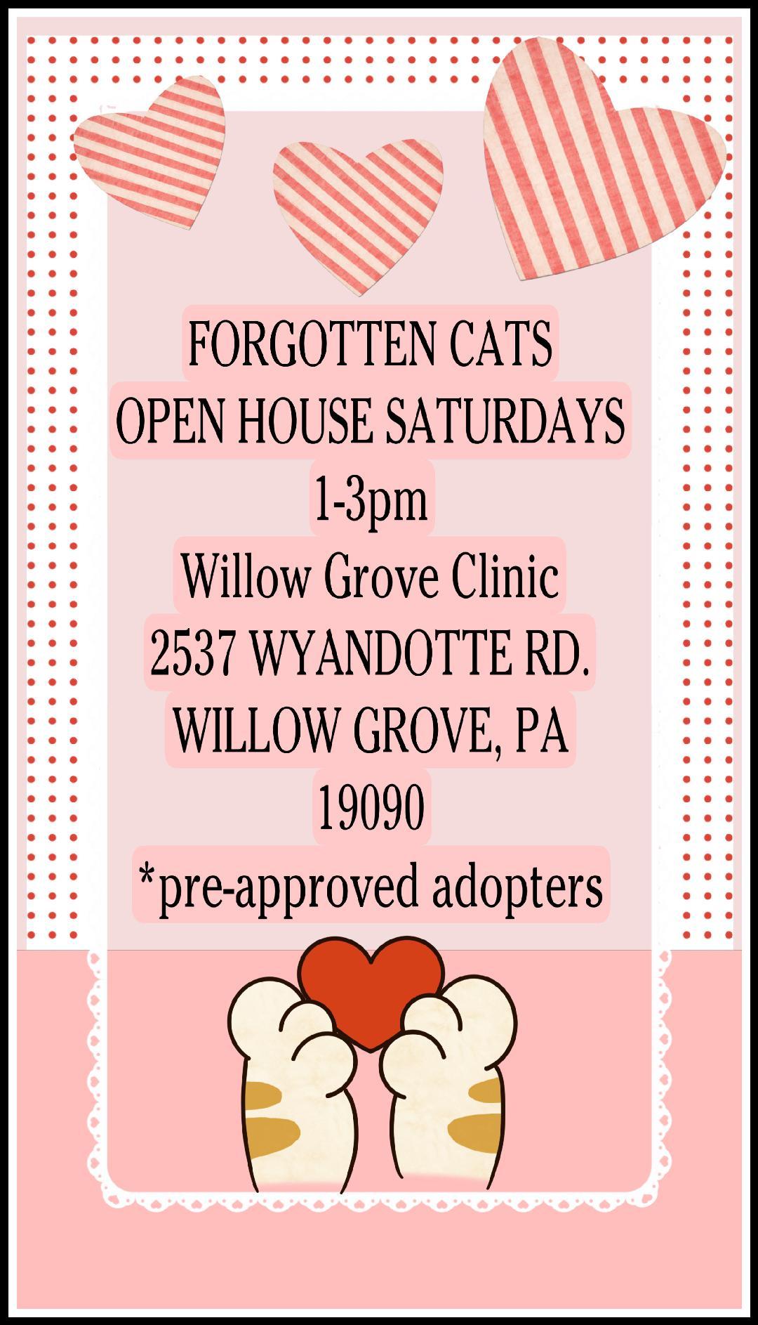 Enlarge Willow Grove PA Clinic/Shelter Open House May 9, a Adoptable Domestic Short Hair in Willow Grove, PA image 1/2